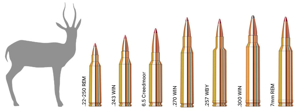 Hunting Caliber Chart | Sportsman's Warehouse