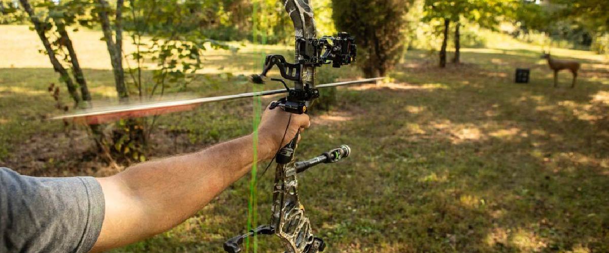 Image – archery range