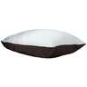 Aspen Pet Knife-Edge Pillow Dog Bed - 36in x 27in - Assorted 36in x 27in