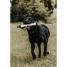 Avery PerfectHold HexaBumper 10in Dog Training Bumper - Black/White - Black/White 10in