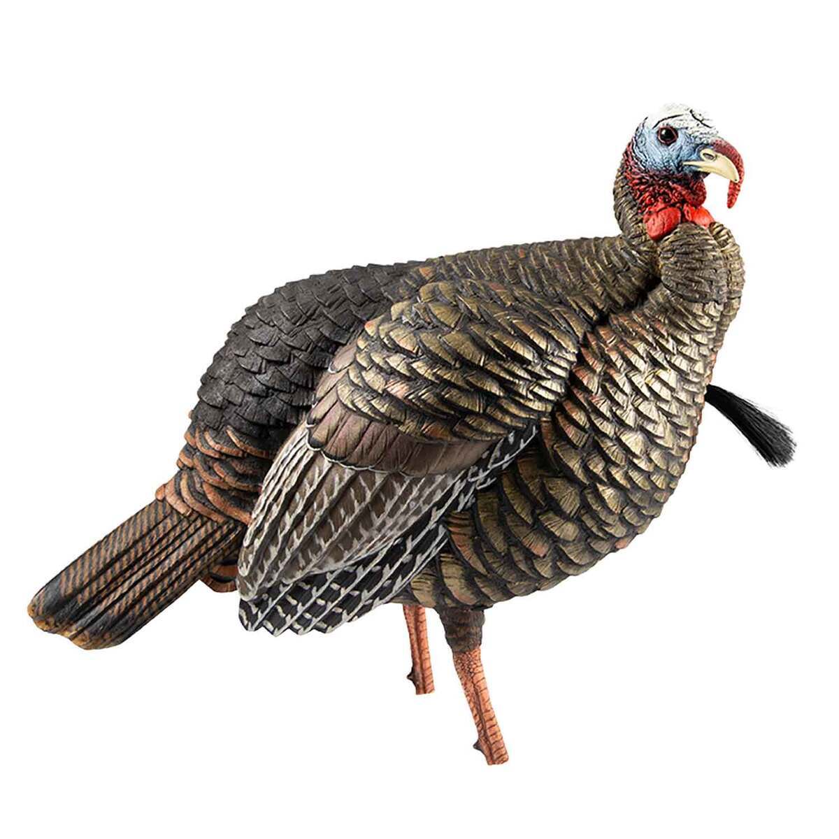 Avian HDR Jake Turkey Decoy Avian HDR Jake Turkey Decoy