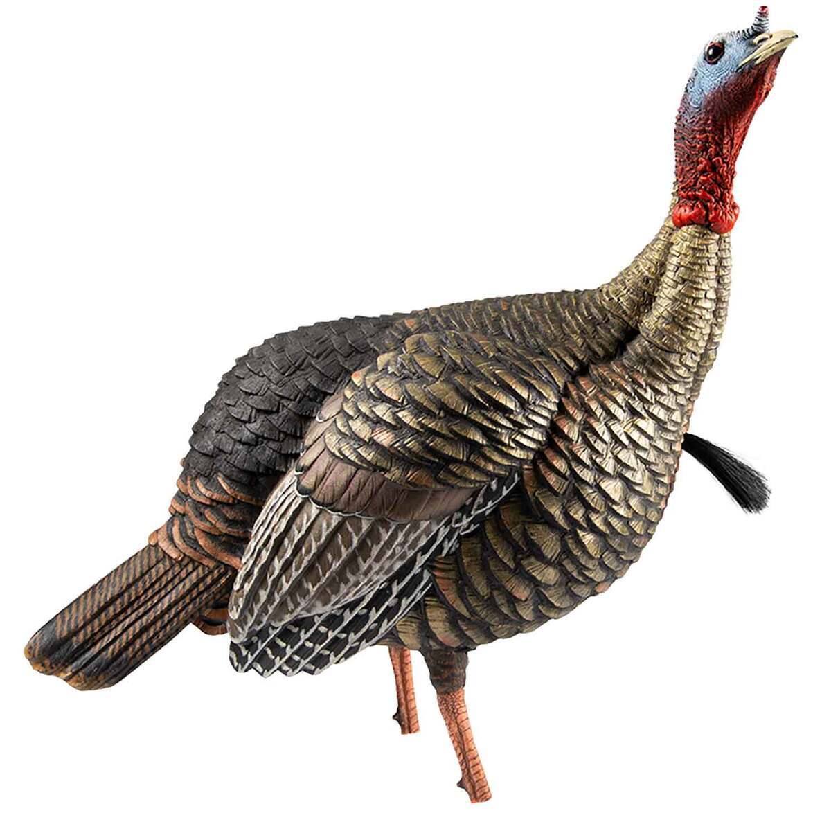 Avian HDR Jake Turkey Decoy Avian HDR Jake Turkey Decoy