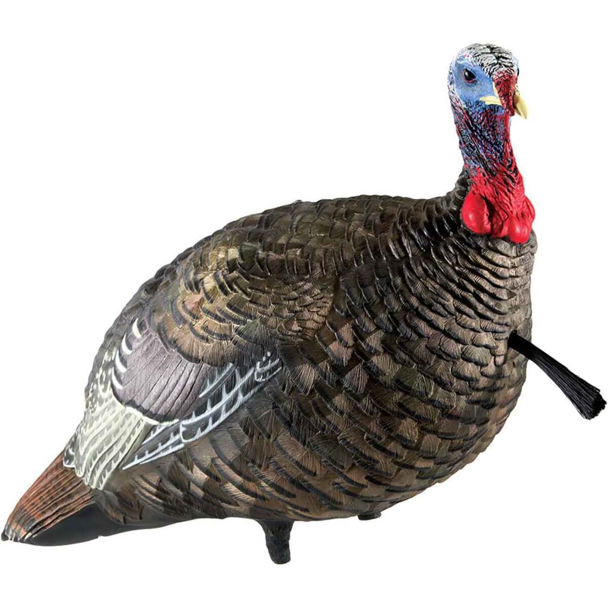 Avian-X 1/2 Strut Jake Turkey Decoy Avian-X 1/2 Strut Jake Turkey Decoy