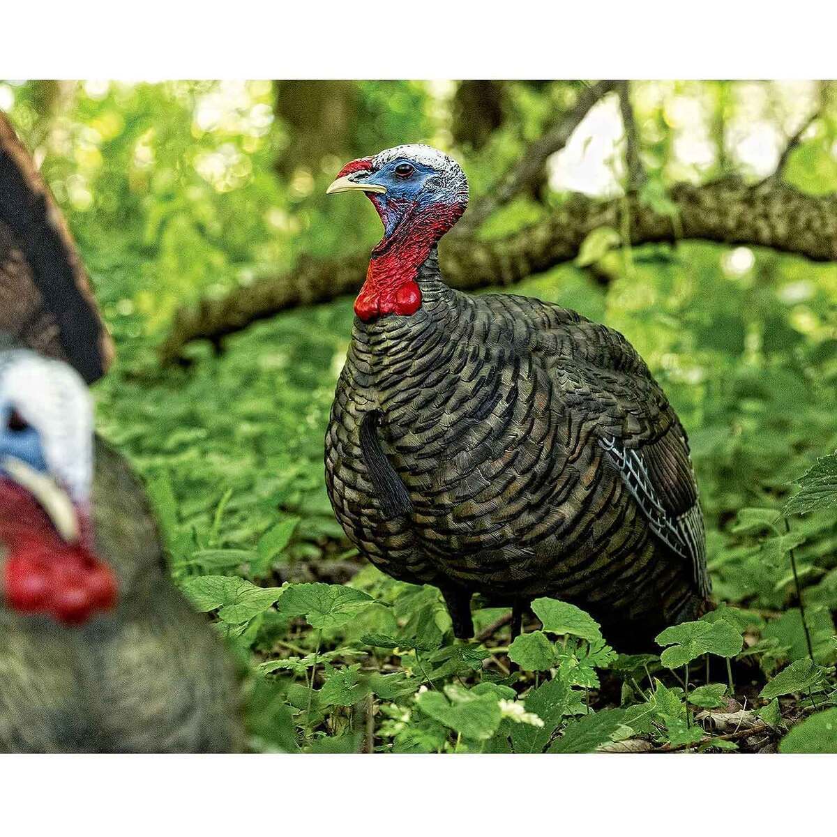 Avian-X 1/2 Strut Jake Turkey Decoy Avian-X 1/2 Strut Jake Turkey Decoy