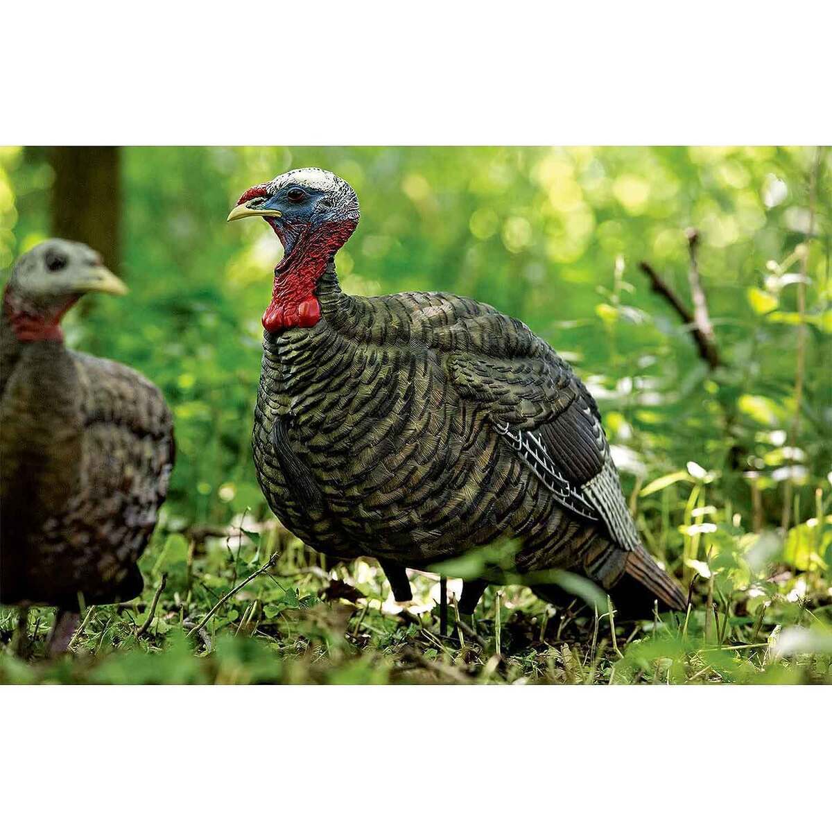 Avian-X 1/2 Strut Jake Turkey Decoy Avian-X 1/2 Strut Jake Turkey Decoy