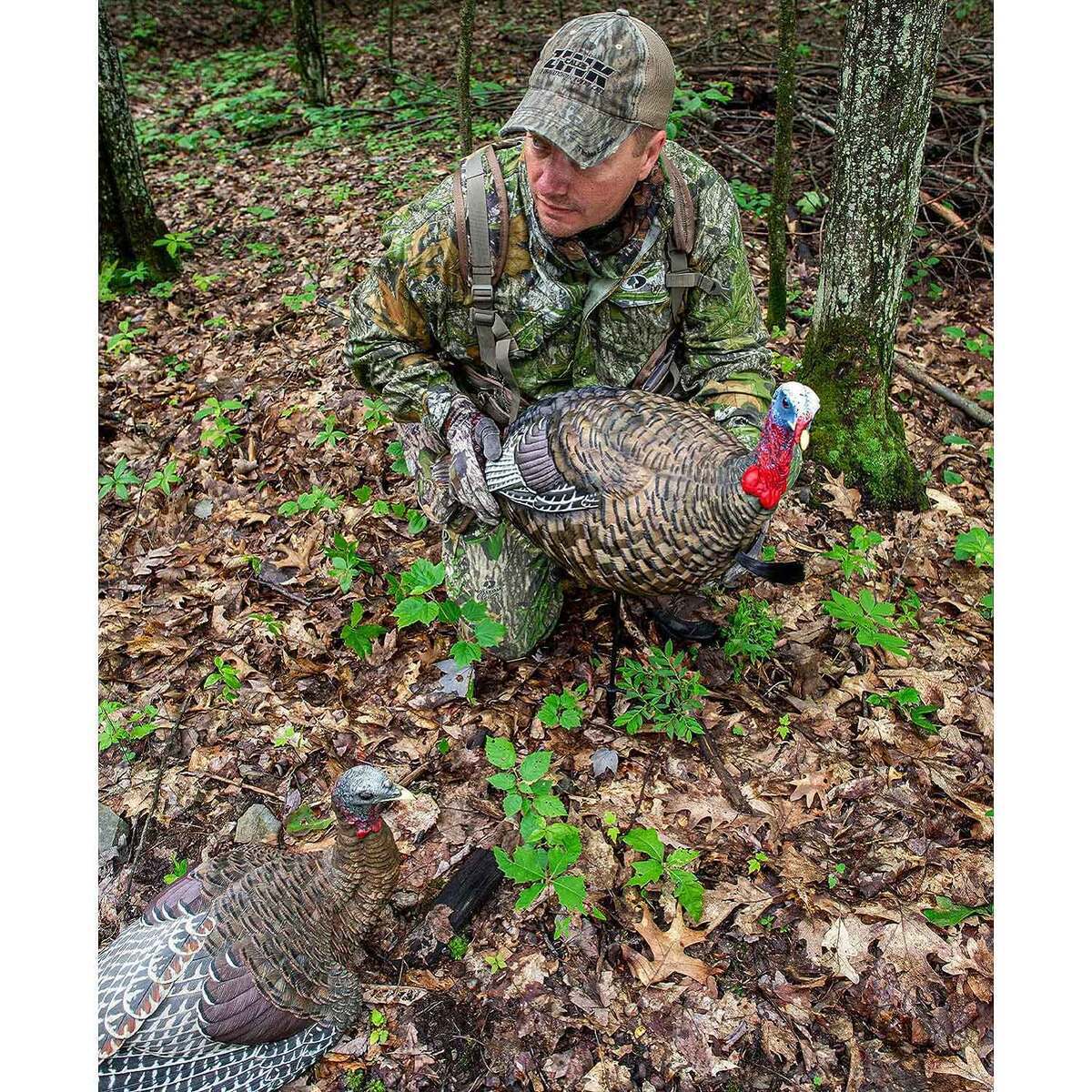 Avian-X 1/2 Strut Jake Turkey Decoy Avian-X 1/2 Strut Jake Turkey Decoy