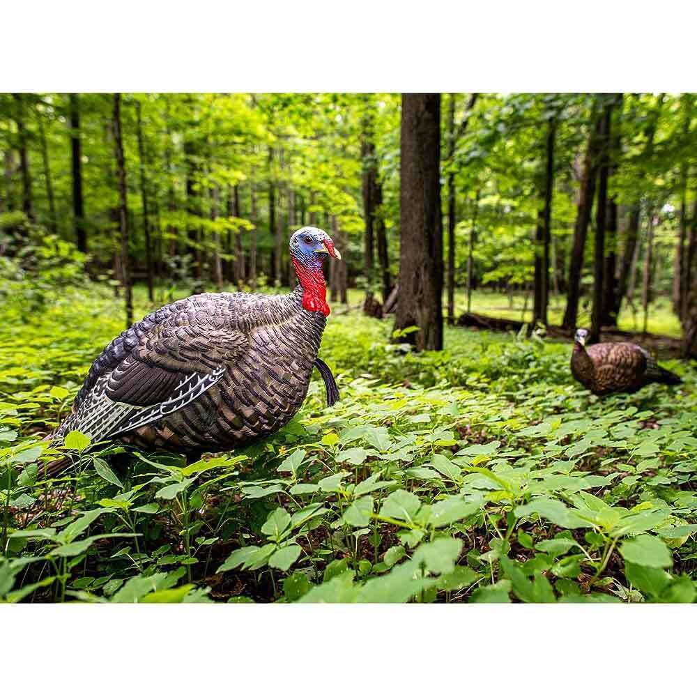 Avian-X 1/2 Strut Jake Turkey Decoy Avian-X 1/2 Strut Jake Turkey Decoy