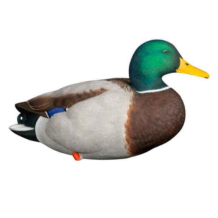 Avian X APG Full Body Mallards Duck Decoys Avian X APG Full Body Mallards Duck Decoys