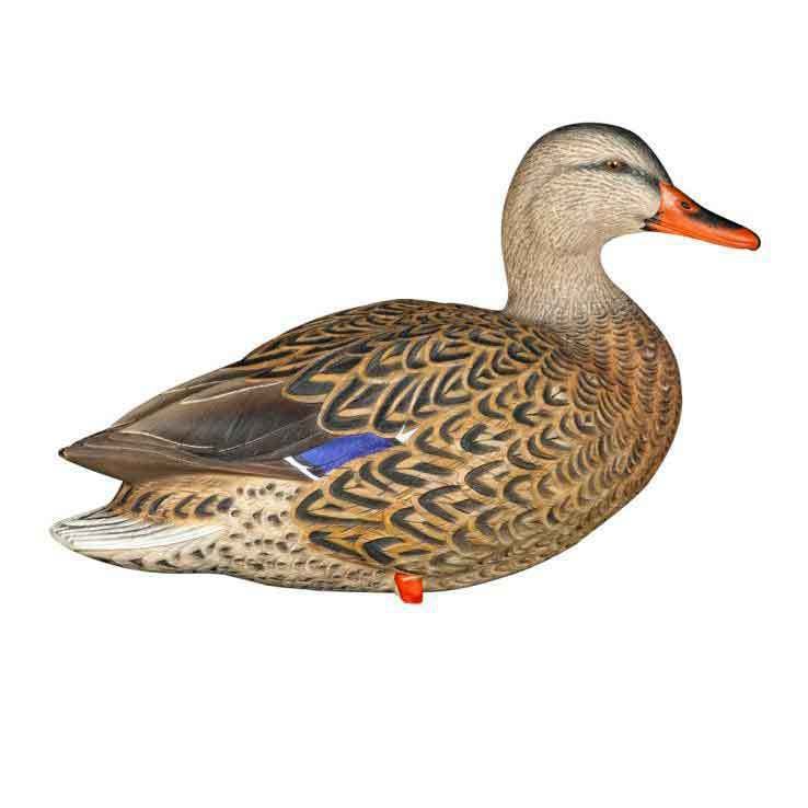 Avian X APG Full Body Mallards Duck Decoys Avian X APG Full Body Mallards Duck Decoys