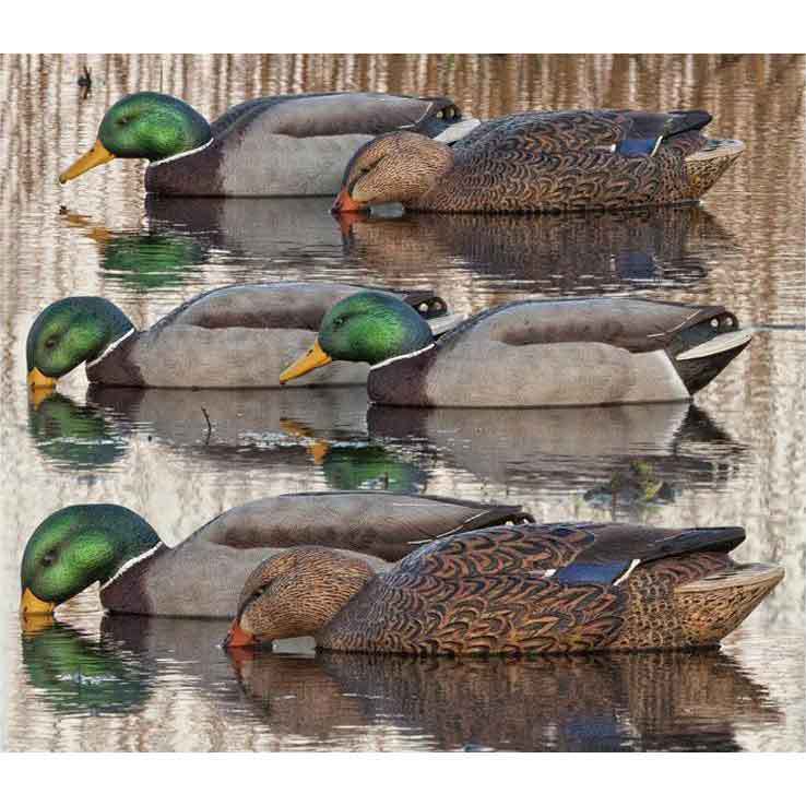 Avian X Back Water Mallards Duck Decoys Avian X Back Water Mallards Duck Decoys