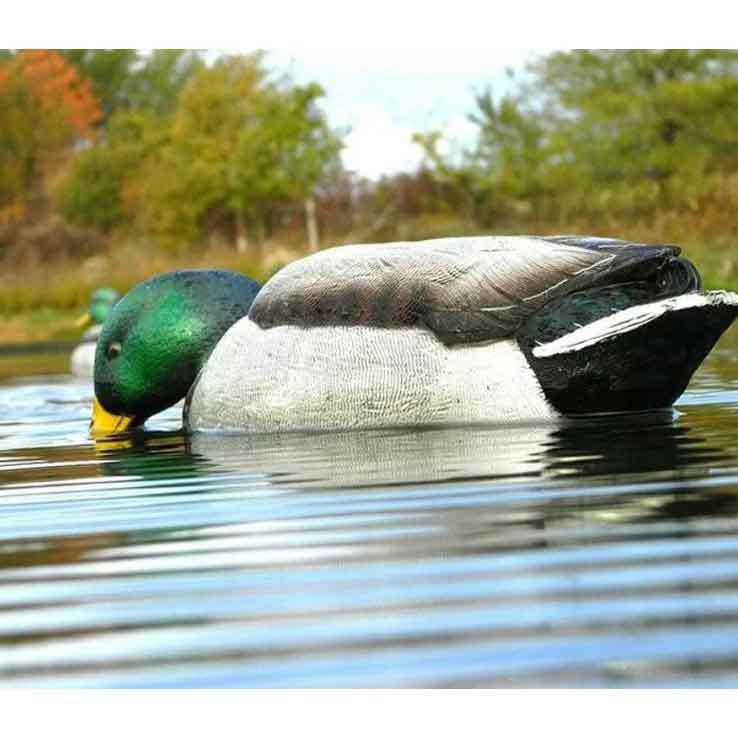 Avian X Back Water Mallards Duck Decoys Avian X Back Water Mallards Duck Decoys