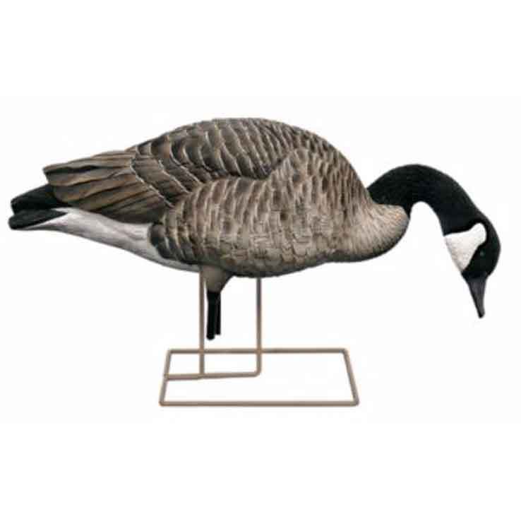Avian X Fusion Canadian Honker Goose Decoy Pack Avian X Fusion Canadian Honker Goose Decoy Pack