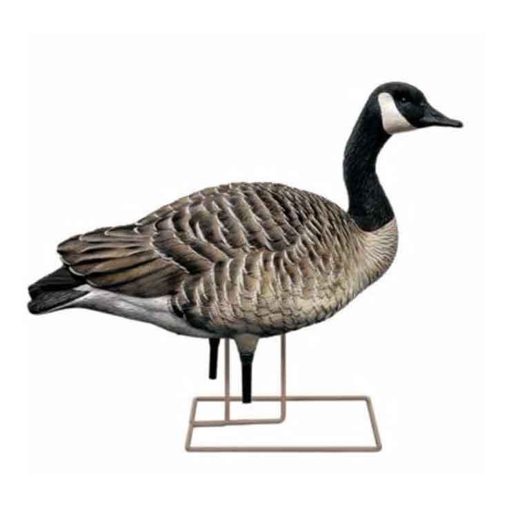 Avian X Fusion Canadian Honker Goose Decoy Pack Avian X Fusion Canadian Honker Goose Decoy Pack