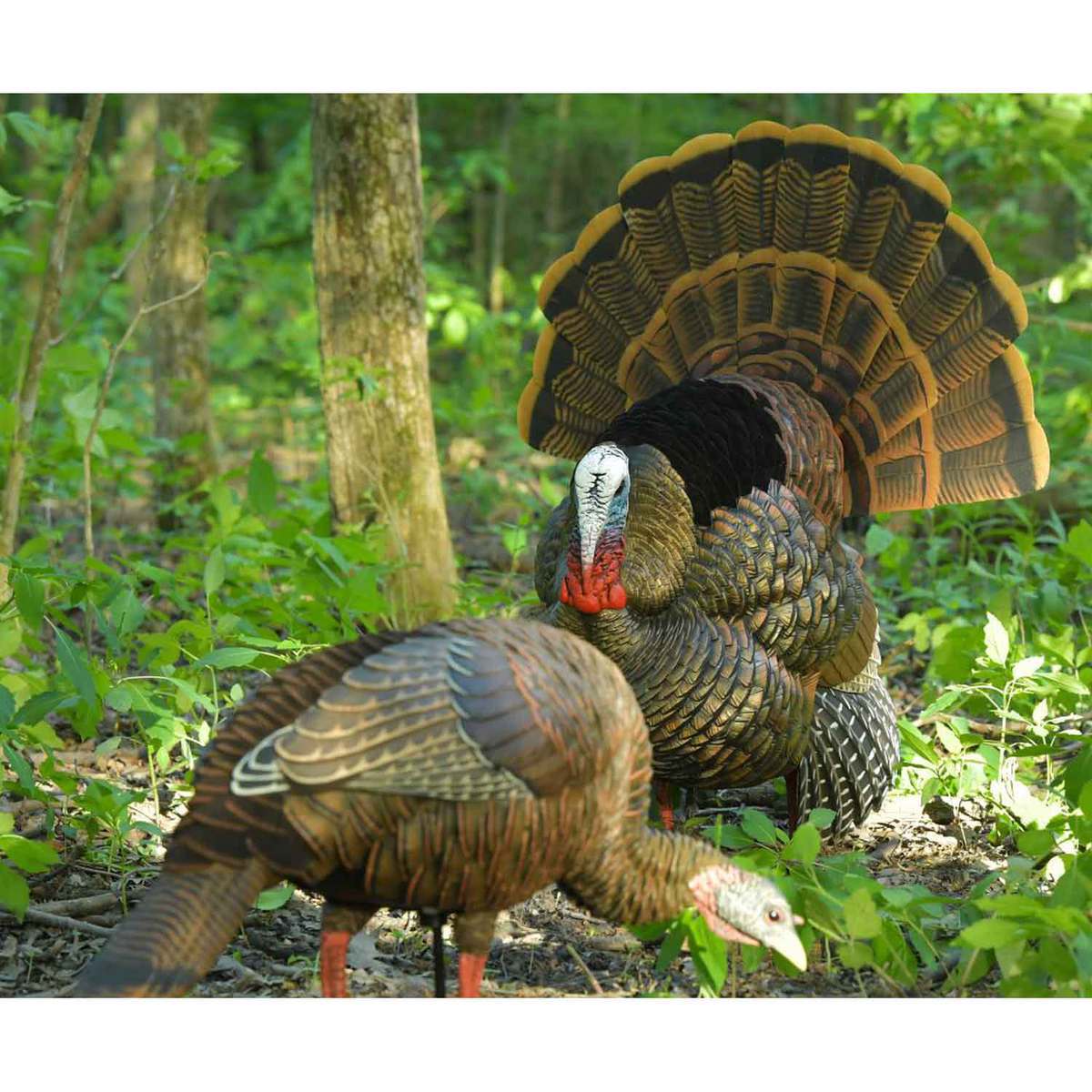 Avian X HDR Feeder Hen Turkey Decoy Avian X HDR Feeder Hen Turkey Decoy