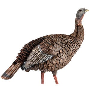 Avian X HDR Hen Turkey
