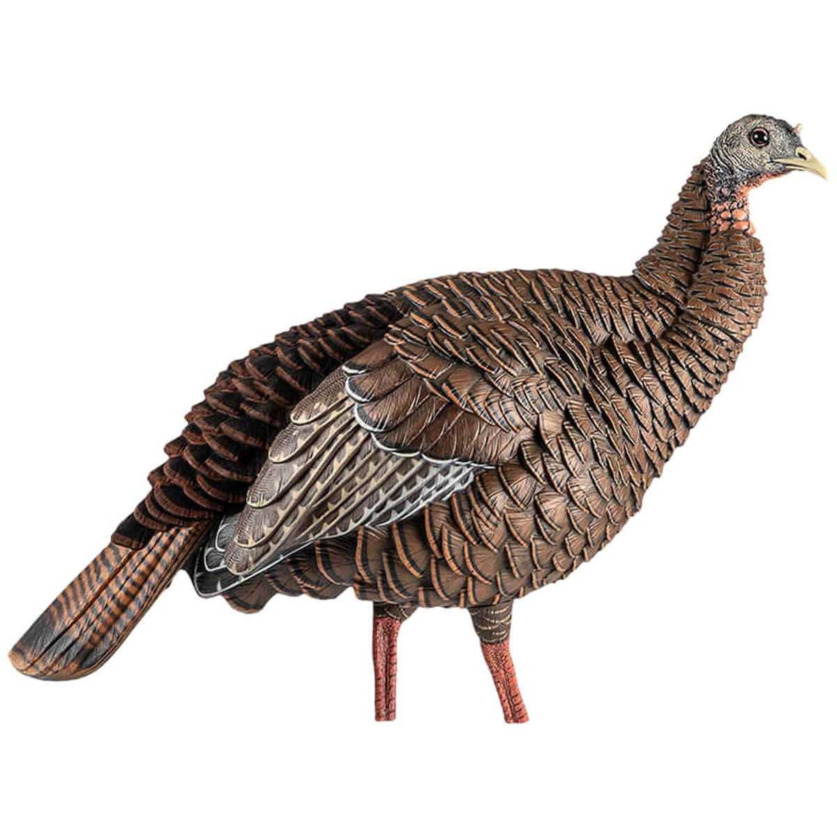Avian X HDR Hen Turkey Decoys Avian X HDR Hen Turkey Decoys
