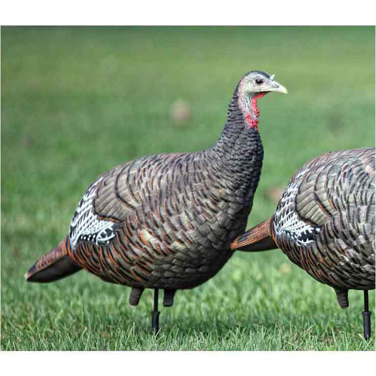 Avian X LCD Breeder Hen Turkey Decoy Avian X LCD Breeder Hen Turkey Decoy