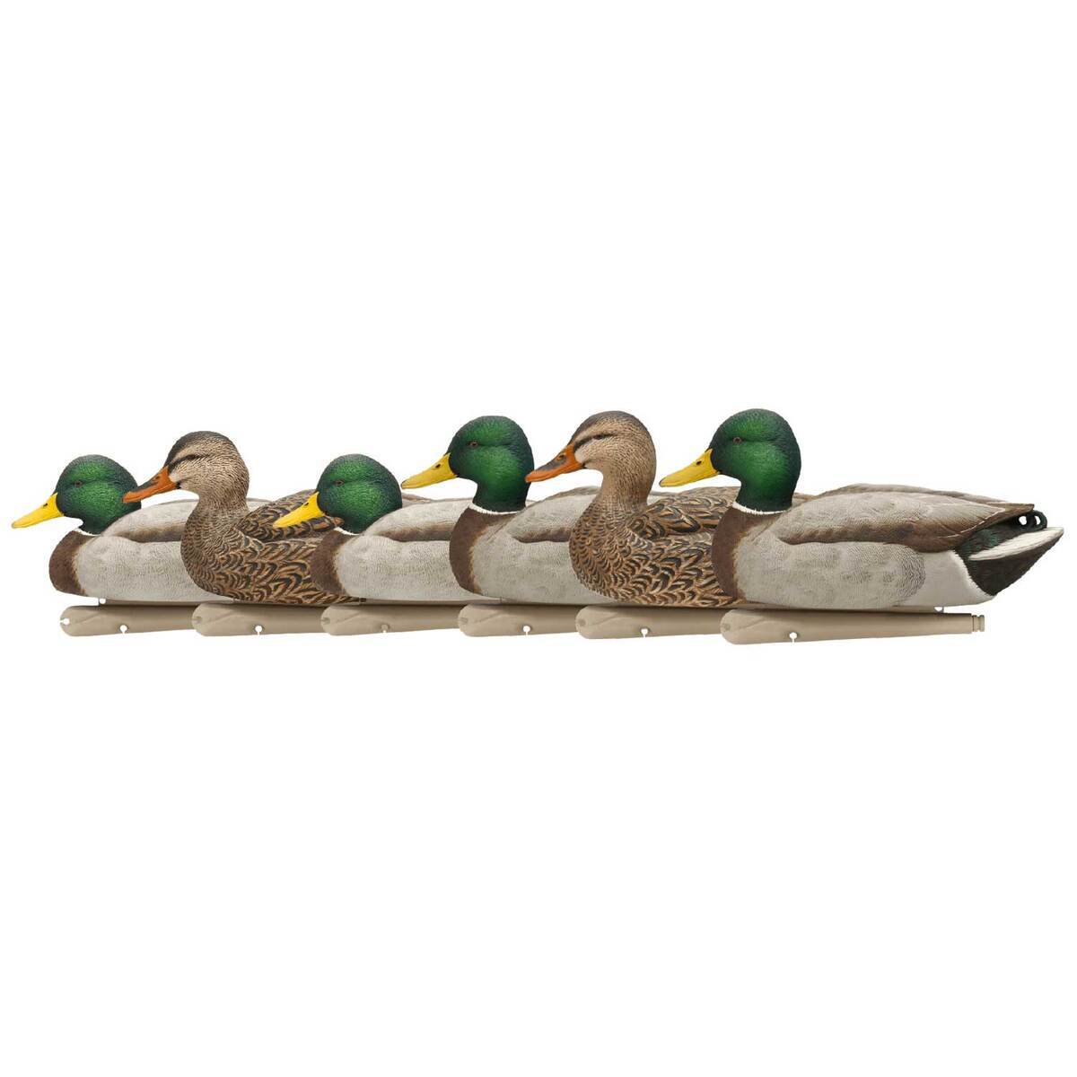 Avian X Open Water Mallards Duck Decoys Avian X Open Water Mallards Duck Decoys
