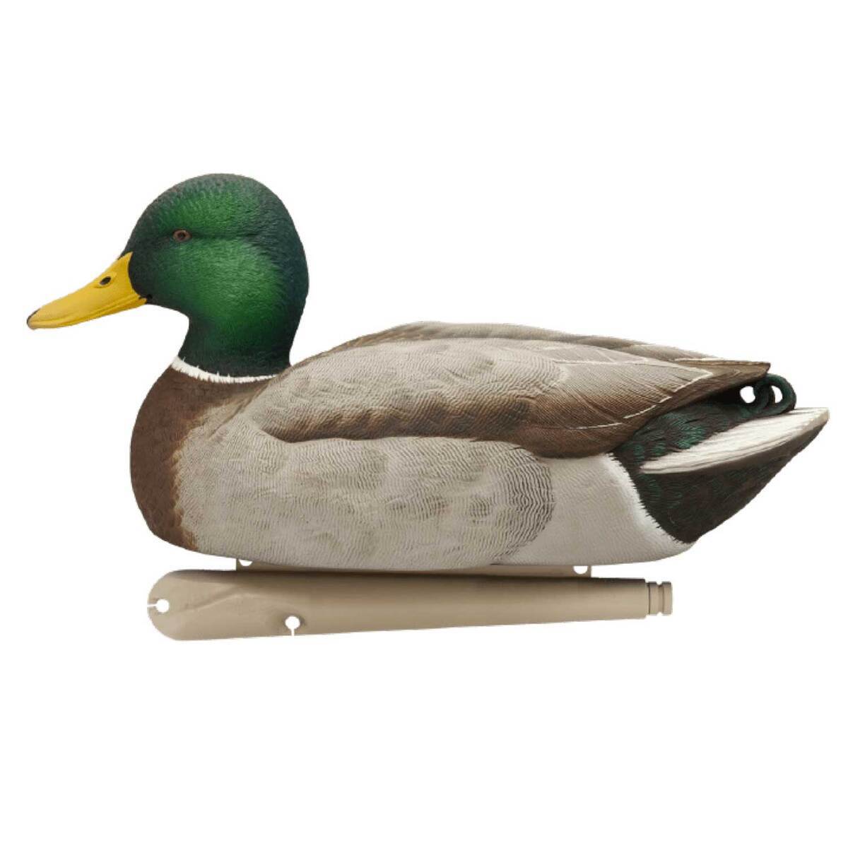 Avian X Open Water Mallards Duck Decoys Avian X Open Water Mallards Duck Decoys