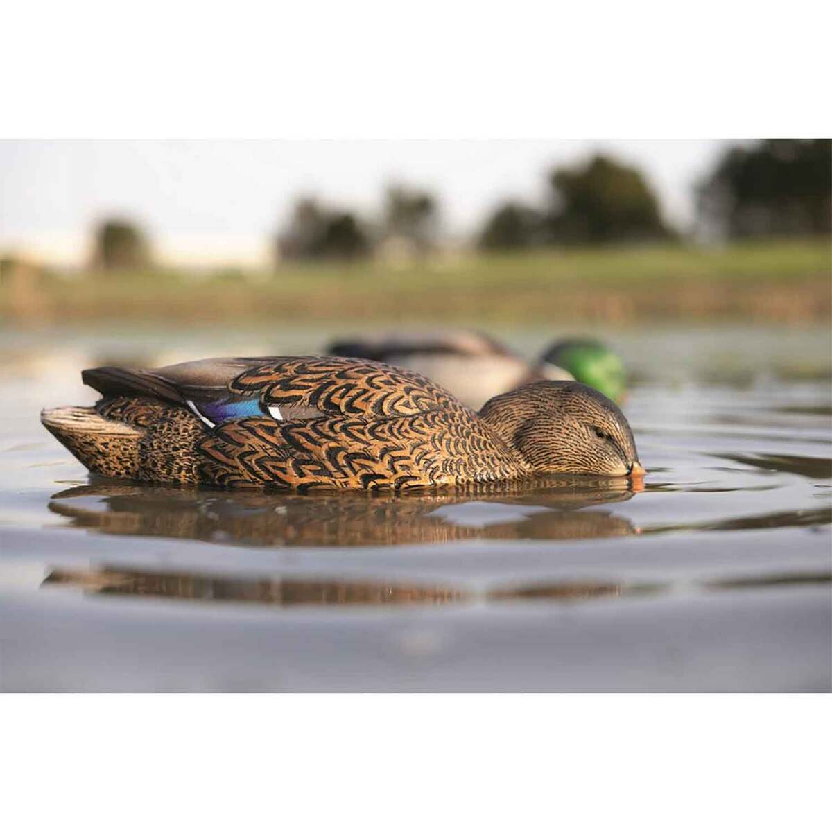 Avian X Power Shaker Mallard Hen Surface Feeder Motion Decoy Avian X Power Shaker Mallard Hen Surface Feeder Motion Decoy