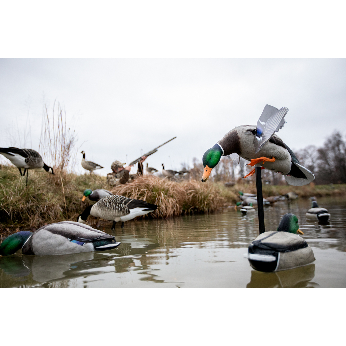 Avian X Powerflight Mallard Spinning Wing Duck Decoy | Sportsman's ...