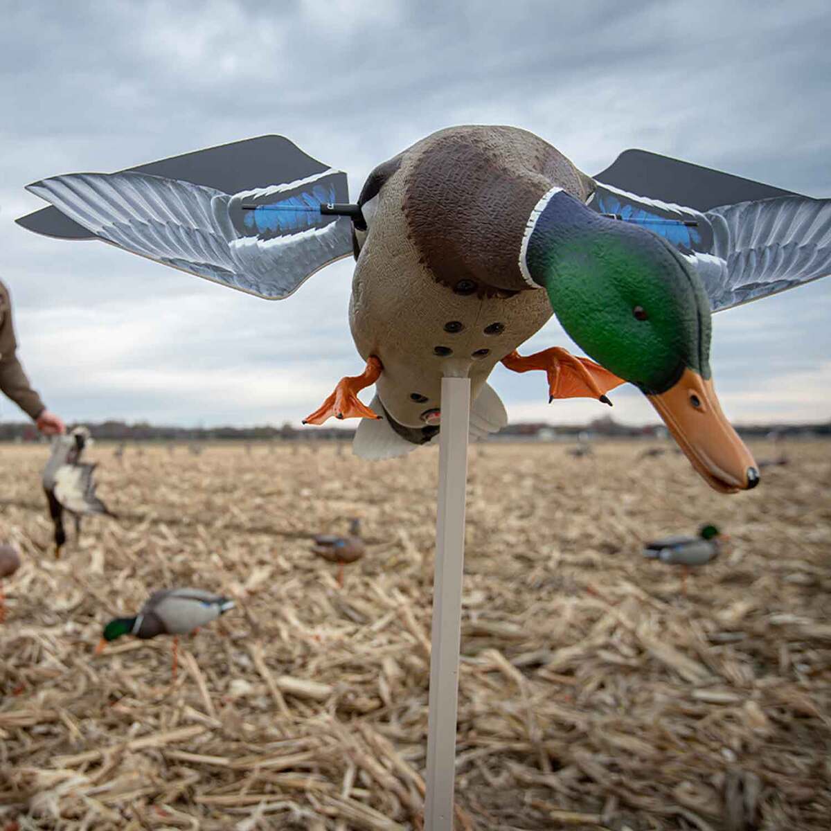 Avian X Powerflight Smart Motion Mallard Spinning Wing Duck Decoy Avian X Powerflight Smart Motion Mallard Spinning Wing Duck Decoy