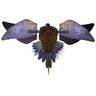 Avian X PowerFlight Spinning Wing Dove