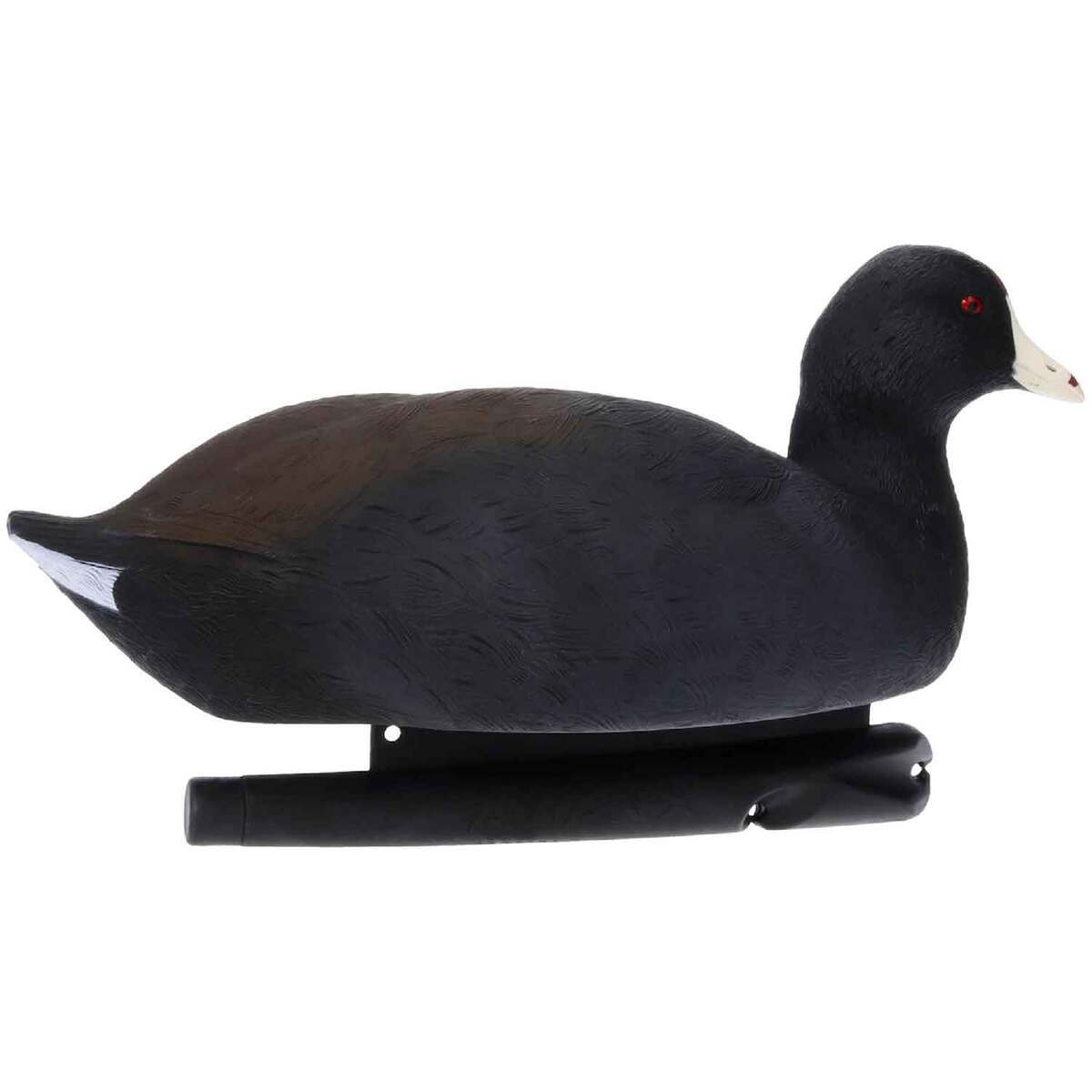 Avian X Top Flight Coot Duck Decoys - 6 Pack | Sportsman's Warehouse