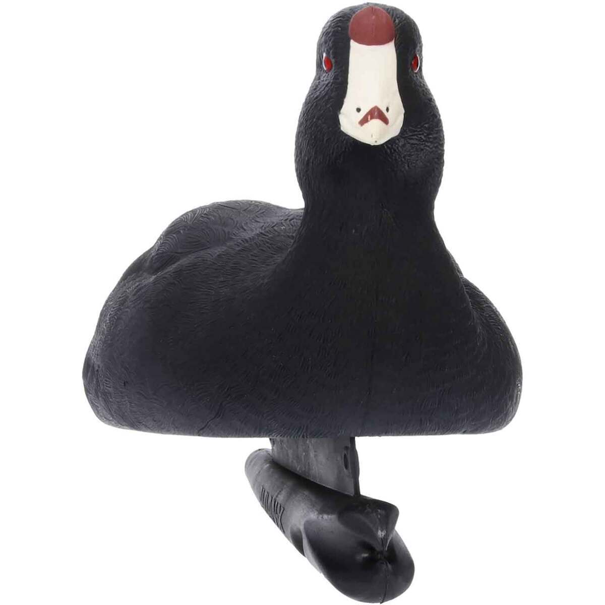 Avian X Top Flight Coot Duck Decoys - 6 Pack | Sportsman's Warehouse