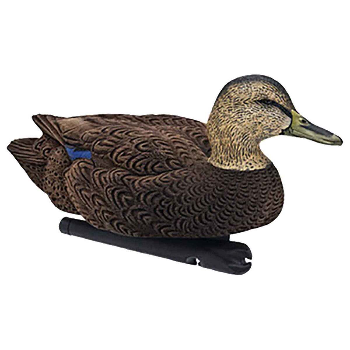 Avian X Topflight Black Duck Decoy - 6 Pack Avian X Topflight Black Duck Decoy - 6 Pack