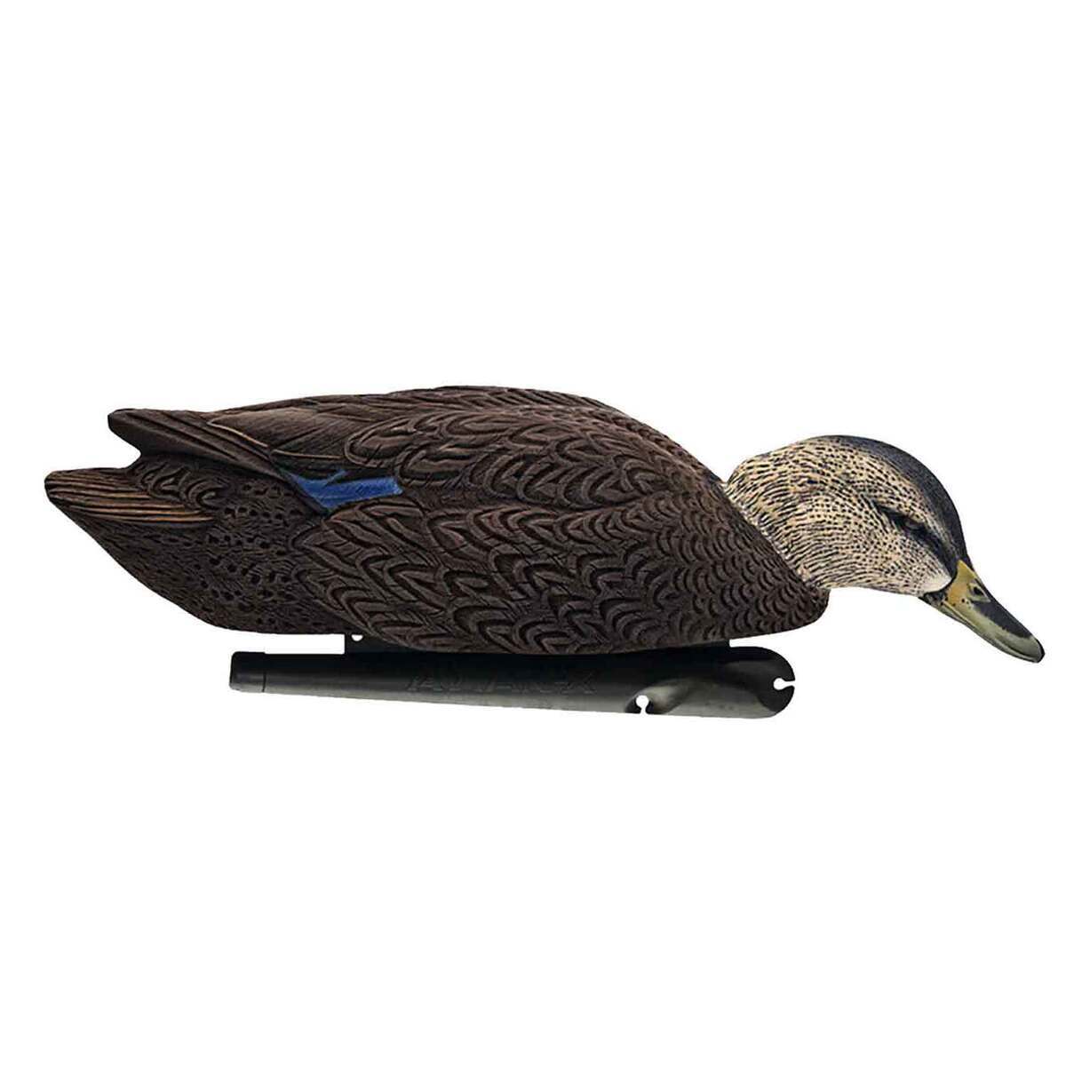 Avian X Topflight Black Duck Decoy - 6 Pack Avian X Topflight Black Duck Decoy - 6 Pack