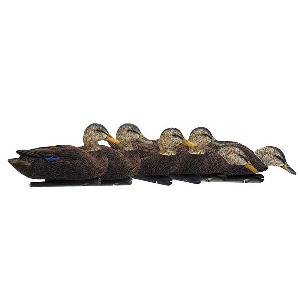 Avian X Topflight Black Duck Decoy - 6 Pack Avian X Topflight Black Duck Decoy - 6 Pack