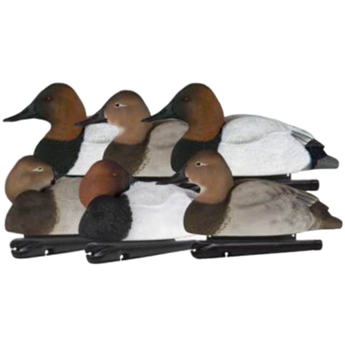 Avian X Topflight Canvas Backs Duck Decoys - 6 Pack Avian X Topflight Canvas Backs Duck Decoys - 6 Pack