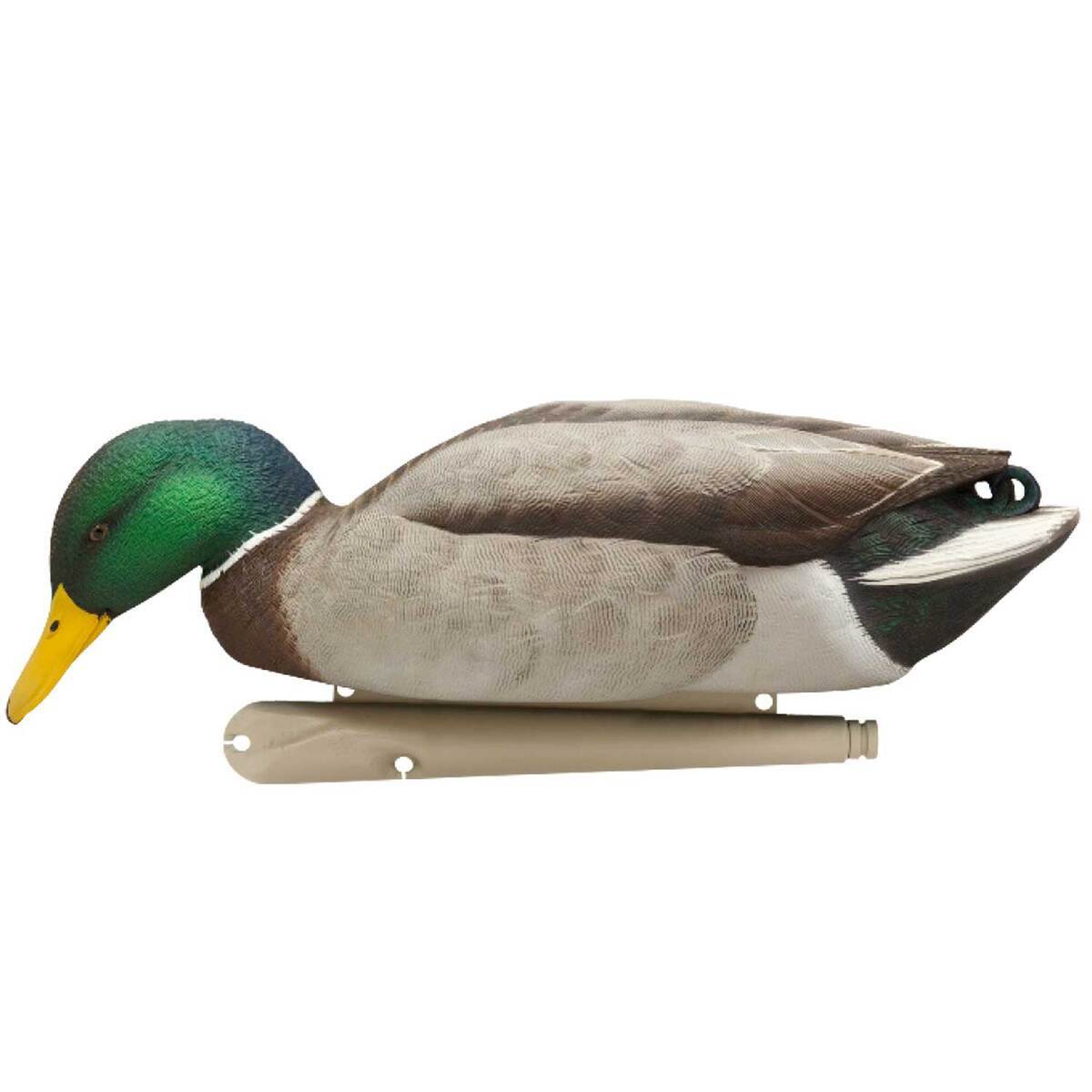 Avian X TopFlight Fusion Mallard Decoys - 12 Pack Avian X TopFlight Fusion Mallard Decoys - 12 Pack