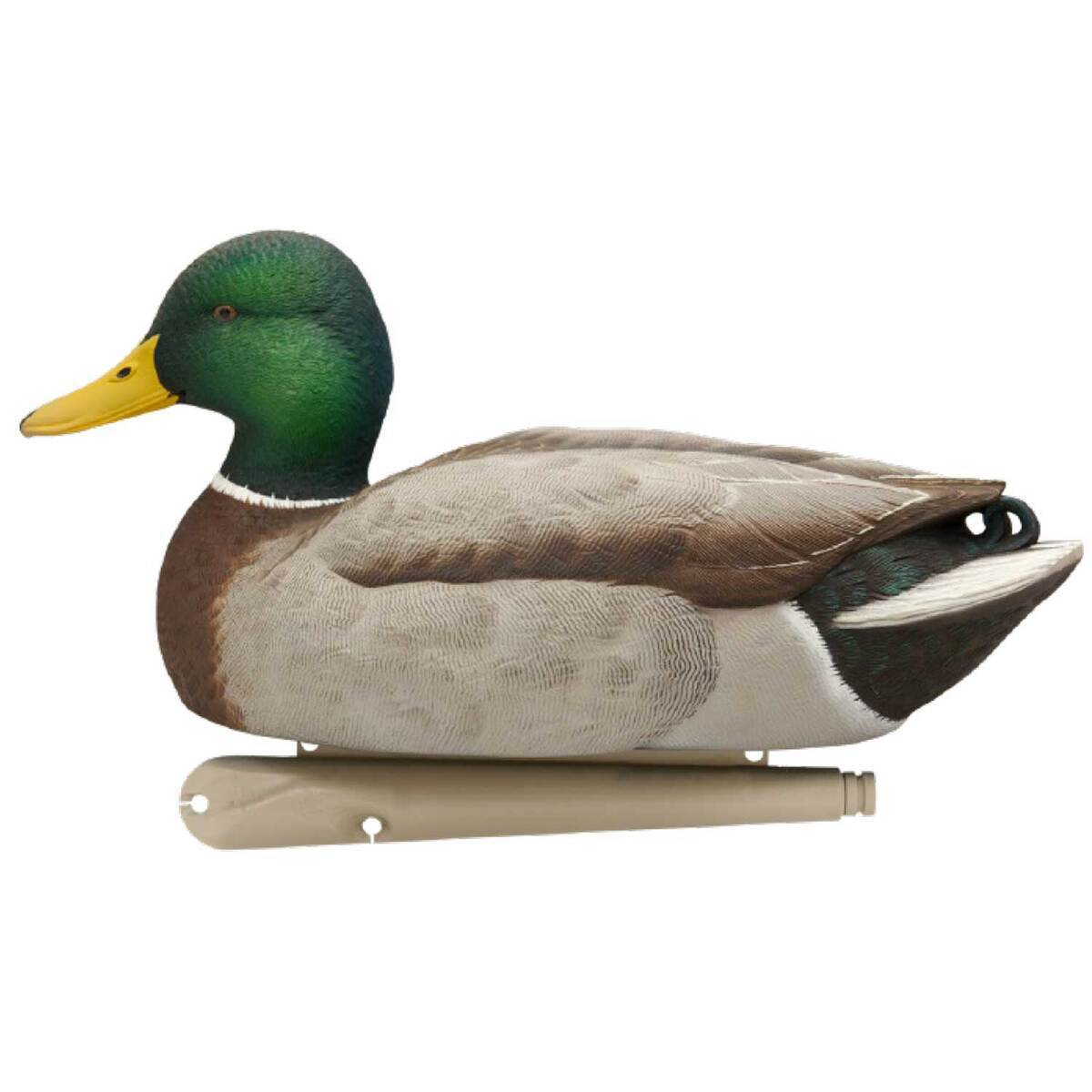 Avian X TopFlight Fusion Mallard Decoys - 12 Pack Avian X TopFlight Fusion Mallard Decoys - 12 Pack