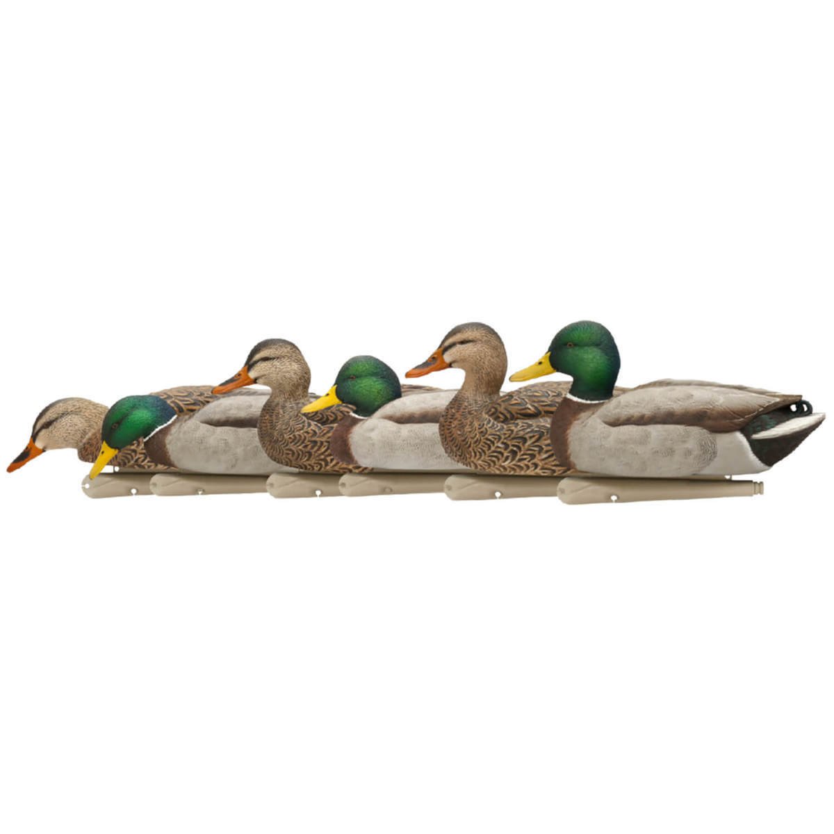 Avian X Topflight Fusion Mallards Duck Decoys - 6 Pack Avian X Topflight Fusion Mallards Duck Decoys - 6 Pack