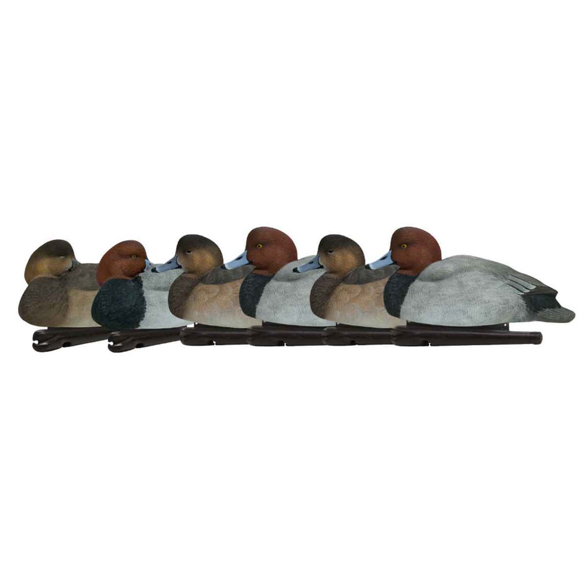 Avian X Topflight Redhead Duck - 6 Pack Avian X Topflight Redhead Duck - 6 Pack