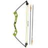 Bear Archery Apprentice Green 6-13.5lbs Right Hand Green Youth Compound Bow - Target Package - Green