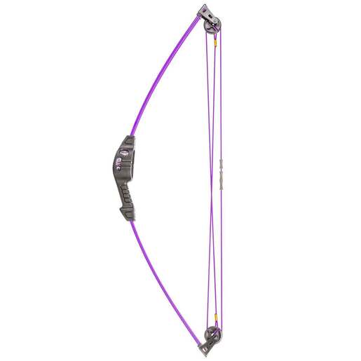 Bear Archery Spark 5-10lbs Ambidextrous Purple Youth Bow – Purple