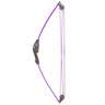 Bear Archery Spark 5-10lbs Ambidextrous Purple Youth Bow - Purple