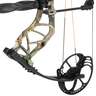Bear Archery Species EV 55-70lbs Right Hand Realtree Edge Camo Compound Bow - RTH Package - Camo