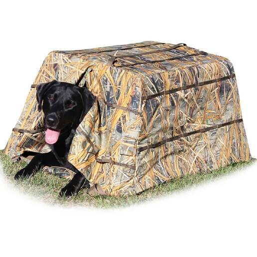 Beavertail Dog Blind