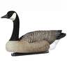 DOA Canada Goose Floaters-6 Pack