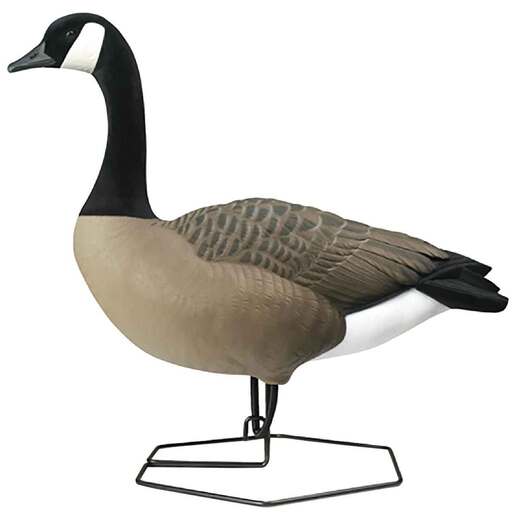 DOA Rogue Series Canadian Goose Decoys – 6 Pack