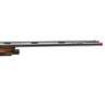Benelli ETHOS Sport AA-Grade Satin Walnut 28 Gauge 3in Semi Automatic Shotgun - 28in - Brown