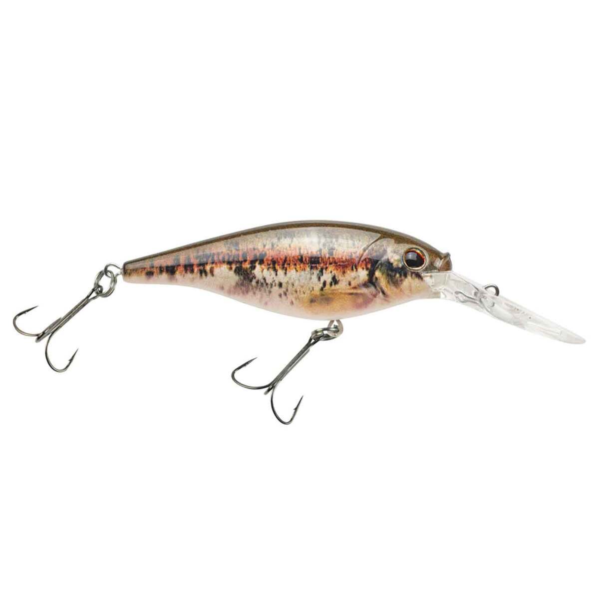 Berkley Flicker Shad Deep Diving Crankbait Berkley Flicker Shad Deep Diving Crankbait
