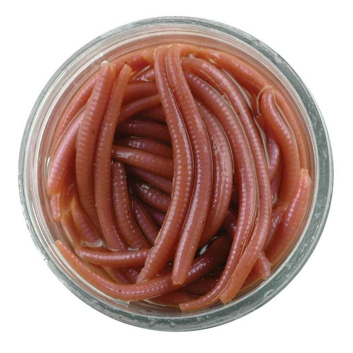 Berkley Gulp! Alive! Angle Soft Worm Berkley Gulp! Alive! Angle Soft Worm
