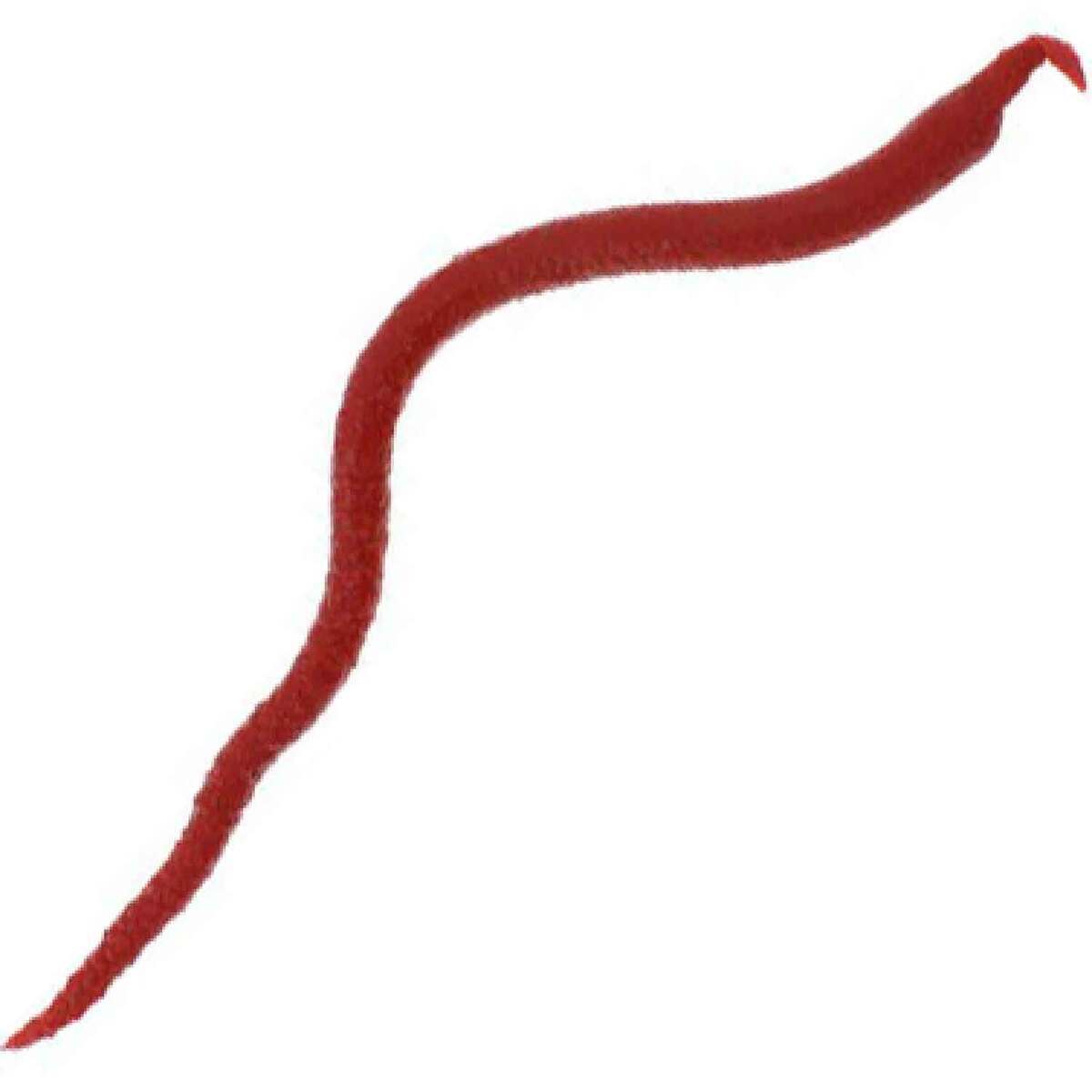 Berkley Gulp Bloodworm, Iridescent