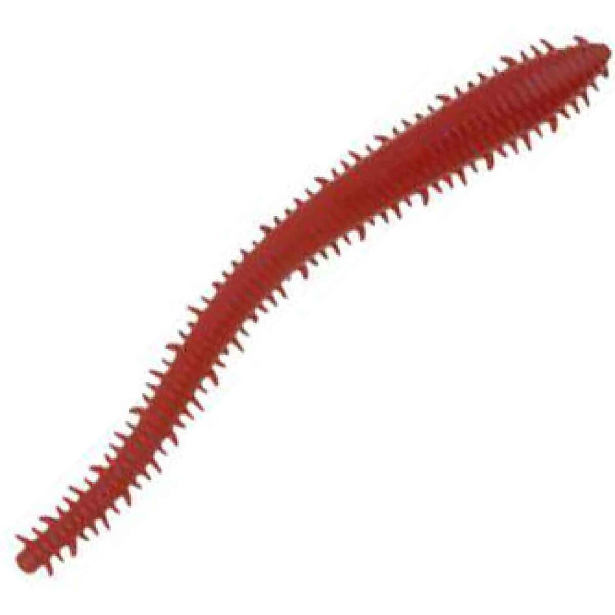 Berkley Gulp Alive Saltwater Sandworm Çeşitleri ve Yorumları | Aynı Gün Berkley Gulp Alive Saltwater Sandworm Çeşitleri ve Yorumları | Aynı Gün