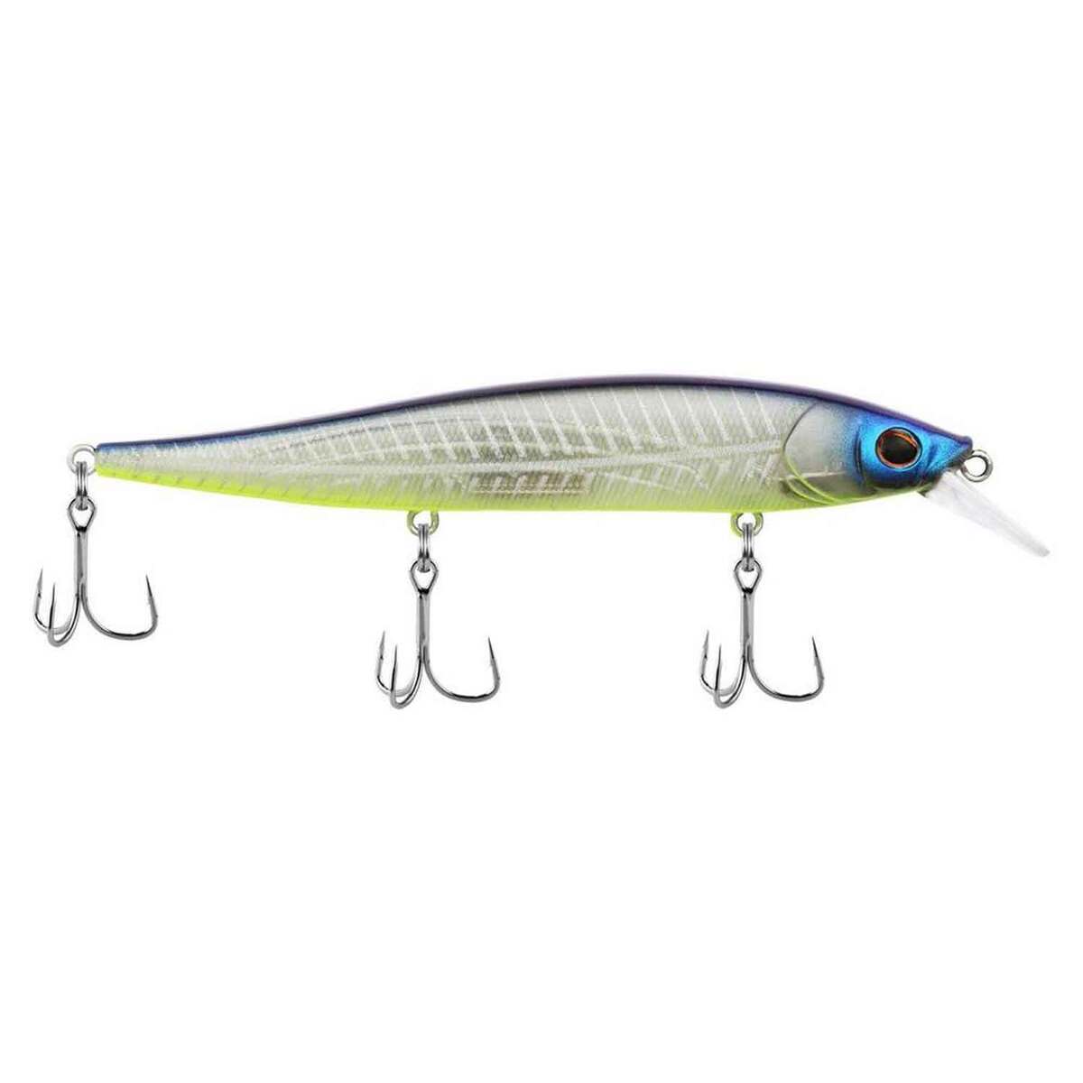 Berkley Stunna Rip Bait - 3-6ft Berkley Stunna Rip Bait - 3-6ft